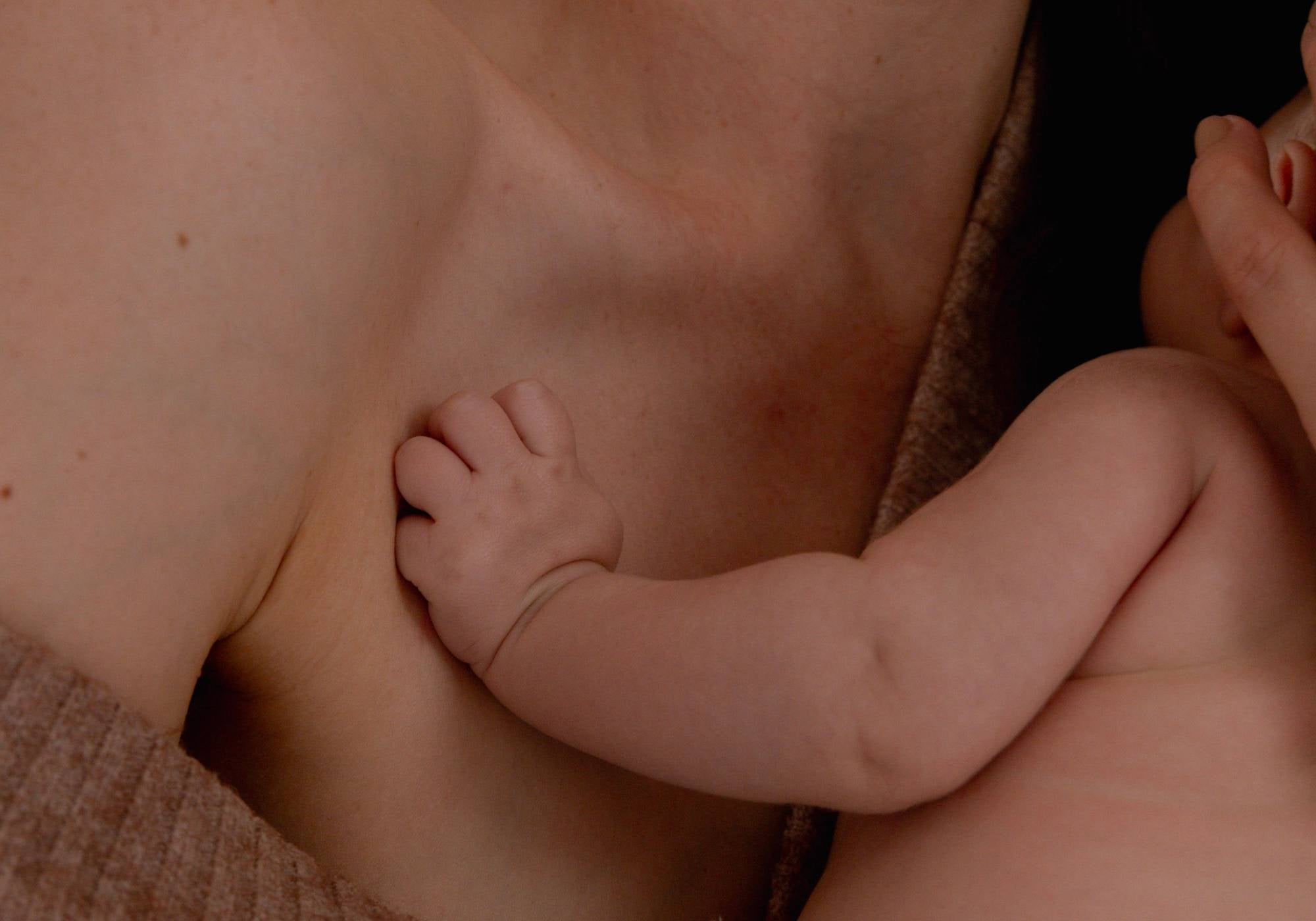 Postpartum Programme + 3 blends vs Breastfeeding & more: Which Is Best?